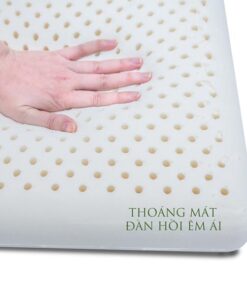 Gối Ôm Cao Su Bolster Vạn Thành - Ảnh 2