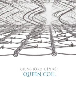Nệm Lò Xo Vạn Thành Phoenix Nệm Lò Xo Vạn Thành Phoenix - Ảnh 3