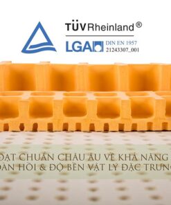 Nệm Cao Su Vạn Thành Standard - Ảnh 5