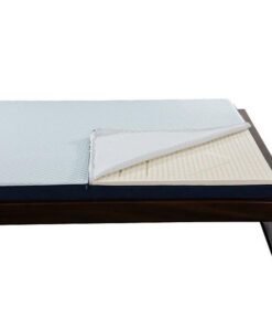 nệm cao su liên á ladome blue