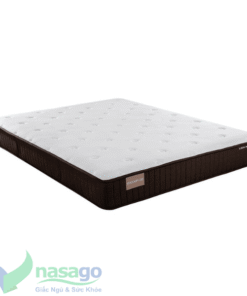 nệm lò xo túi liên á cocoon