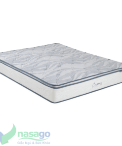 nệm lò xo liên á cassaro plush