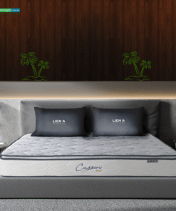 Nệm Lò Xo Liên Á Cassaro Plush - Ảnh 2