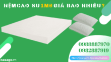 Nệm cao su 1m6 giá bao nhiêu?