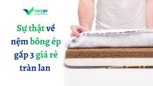 Sự thật về nệm bông ép gấp 3 giá rẻ tràn lan thị trường hiện nay