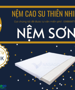 Nệm Sơn