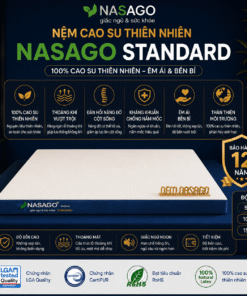 Nệm cao su thiên nhiên Standard