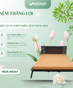 Nệm Cao Su Thắng Lợi
