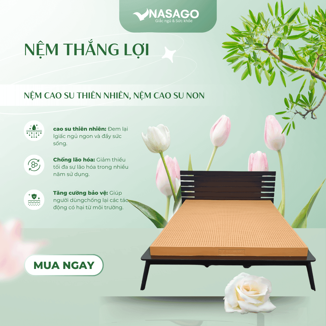 Nệm cao su non nệm thắng lợi nemthangloi